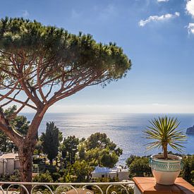 Azure blue sea on Capri by Christian Müringer