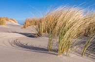 Beach at the island Schiermonnikoog in the Wadden sea by Sjoerd van der Wal Photography thumbnail