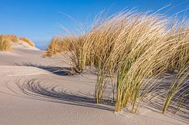 Beach at the island Schiermonnikoog in the Wadden sea by Sjoerd van der Wal Photography