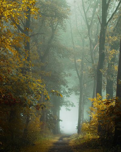 First Colors of Autumn