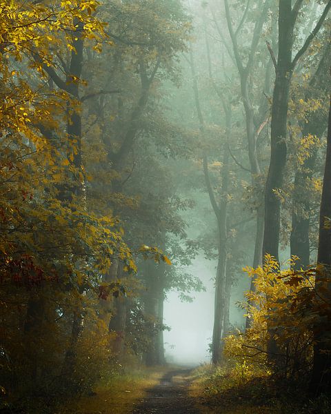 Erste Farben des Herbstes von Kees van Dongen