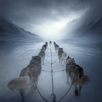 Borne Across the Ice – Svalbard