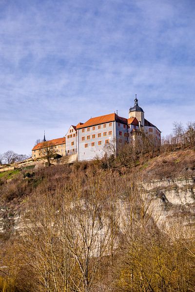 Voorjaarswandeling door de prachtige Saale vallei bij Dornburg-Camburg - Thüringen - Duitsland van Oliver Hlavaty