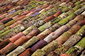 Gekleurde serie dakpannen. van Karel Pops