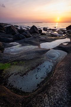 Découvrez l'enchantement du soleil norvégien de la Saint-Jean