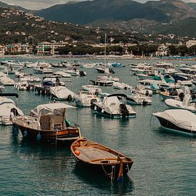 Haven van Sestri Levante Italië met boten en berglandschap van Amber den Oudsten
