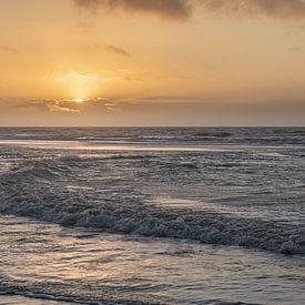 die Welle von Frans Bruijn