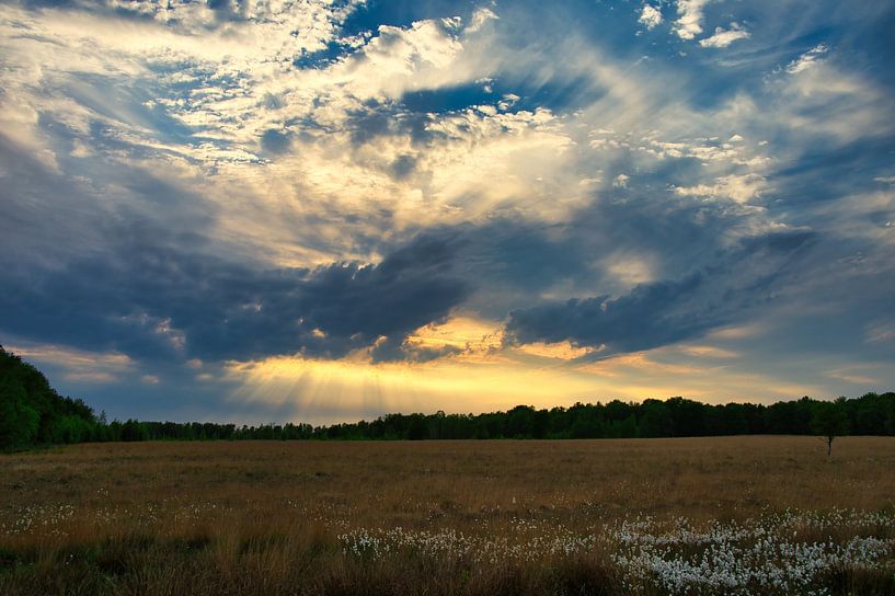 Beautiful skies above the Bargerveen by Miny'S