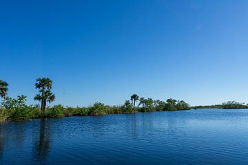 USA, Florida, Reflecting landscape and trees in everglades national park by adventure-photos
