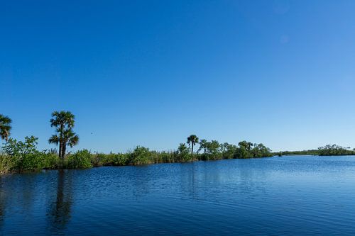 Verenigde Staten, Florida, Reflecterend landschap en bomen in everglades national park