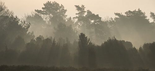 Begin van een stralend mooie dag