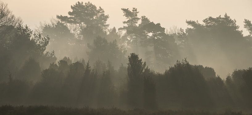 Begin van een stralend mooie dag van Marloes ten Brinke