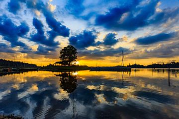 Brokopondo lake in the morning by René Holtslag