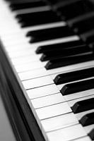 Piano key black-and-white image