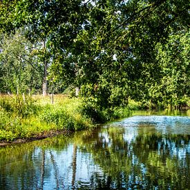 Dutch nature van Michel de Jonge