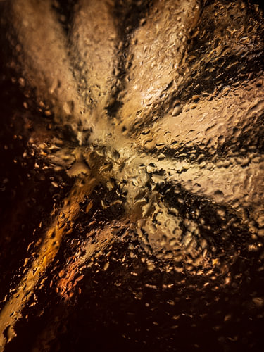 Spiegelung einer Trockenblume in Wassertropfen