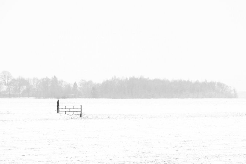 Hekje in de sneeuw. van Anita Lammersma