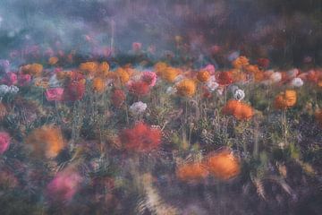 Bühne REM ~Vor der Abendruhe~ von Yasutaka Sameshima