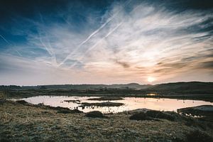 Texel XXVIII