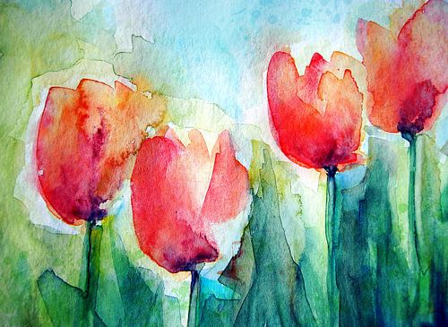 Tulpen bij het huis