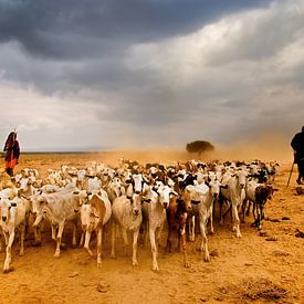Masaai Shepherds van Johan Ensing
