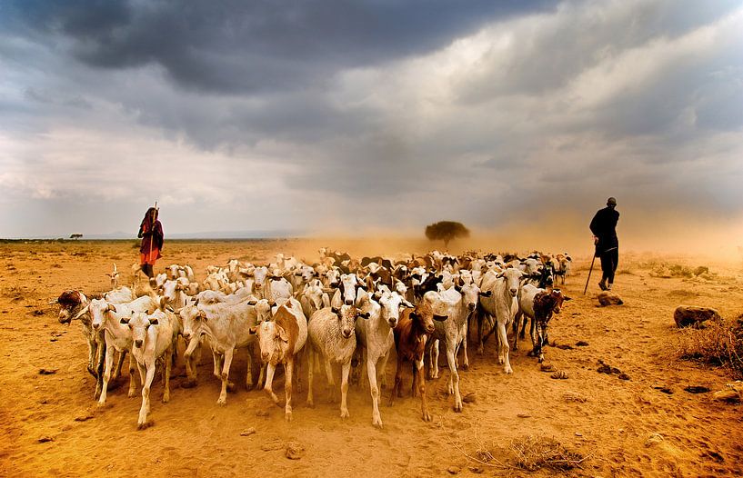 Masaai Shepherds von Johan Ensing