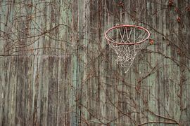 Basket aan verschoten schutting van Bas Nieuwenhuijsen