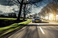 BMW at Speed by Sytse Dijkstra thumbnail