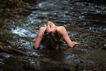 Baden in de ochtendelijke rivier van Werner Lerooy