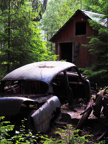 Car wreck in the forest near Ryd 10 by Helene Ketzer