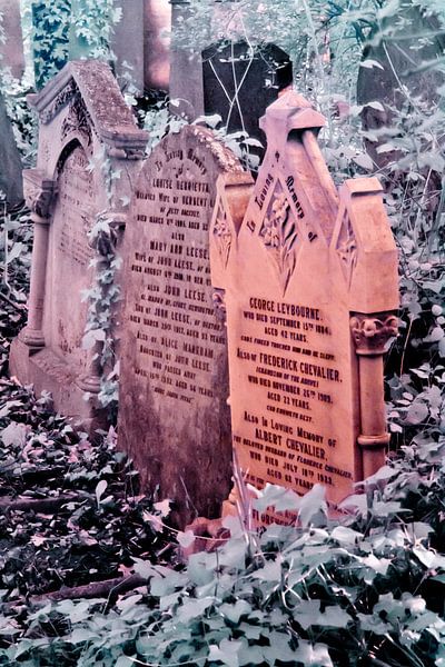 Beroemdheden op de begraafplaats, Londen van Helga Novelli