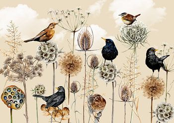 Winter landscape birds