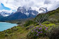 Torres del Paine, Chili van Floris Hieselaar thumbnail