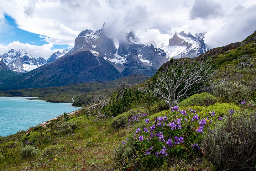 Torres del Paine, Chili van Floris Hieselaar