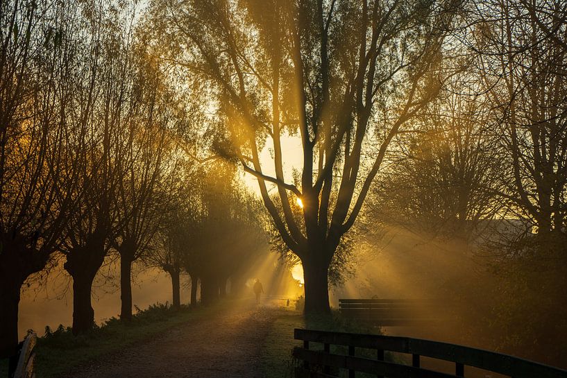 Walking the dog by Amanda van den Berg / Fotografie Amanda