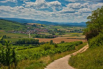 Paysage du nord de l'Alsace en France sur Tanja Voigt