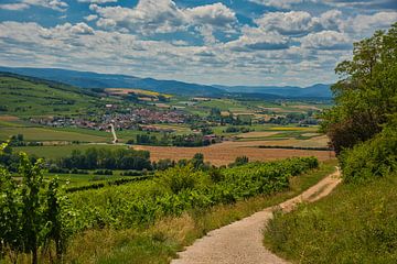 Landschaft im nördlichen Elsass in Frankreich von Tanja Voigt