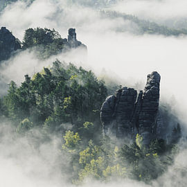 Verborgene Wildnis: Der Blick von der Kleinen Gans von Wandbilder Onlineshop