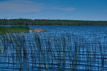 More in sweden by Geertjan Plooijer