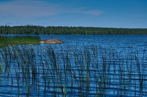 Meer in zweden