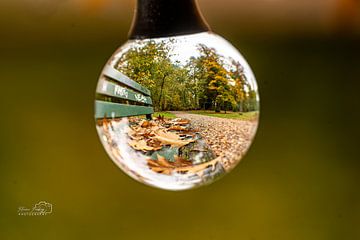 Herfstmagie bij de Lensball ✨ van Florian Freiberg