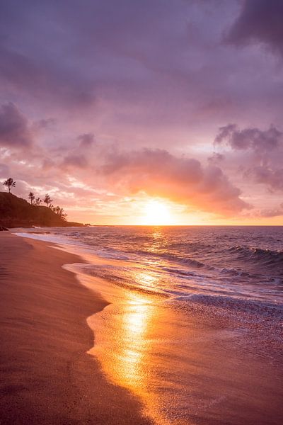 Hawaii by Hello Pompoyo