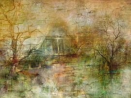 Vergessenes Haus im Wald von Claudia Gründler