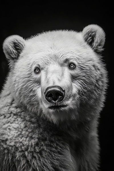 Bear by Poster Art Shop