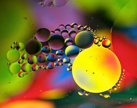 olie en water van Marijke Scheers