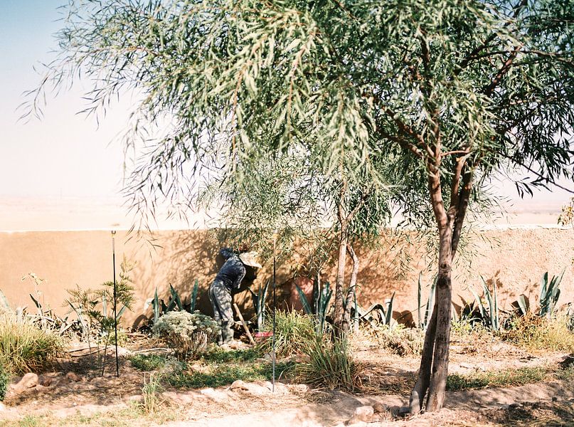 When in Marrakech by Raisa Zwart Travel Photography Prints