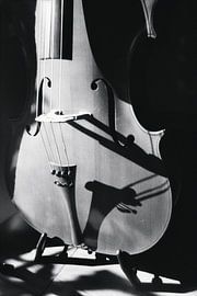 Chello en noir et blanc