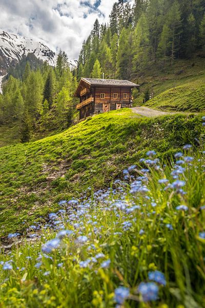 Berghut in het Rosstal boven Kalkstein, Villgratental van Christian Müringer