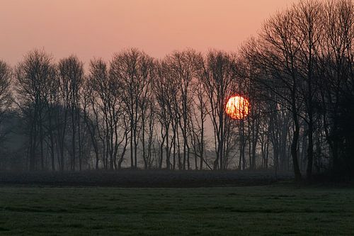 De eerste mooie dag van het jaar