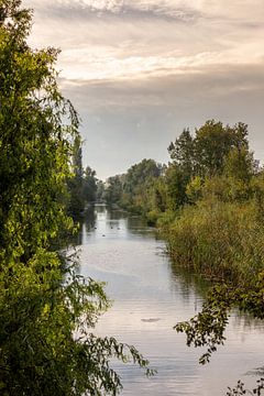 Herfst De Elzen Dordrecht van Rob van der Teen